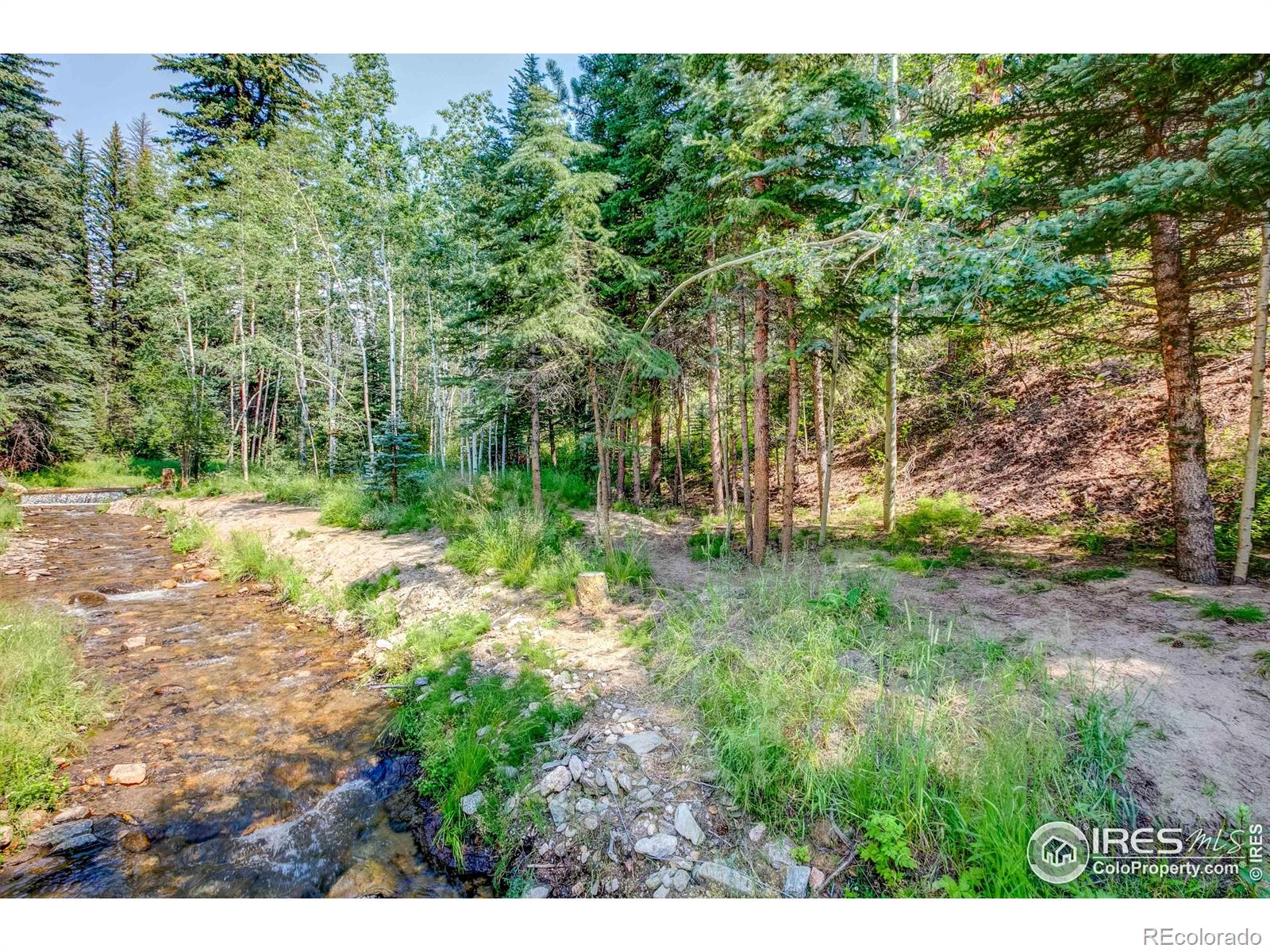 MLS Image #23 for 1142  streamside drive,glen haven, Colorado