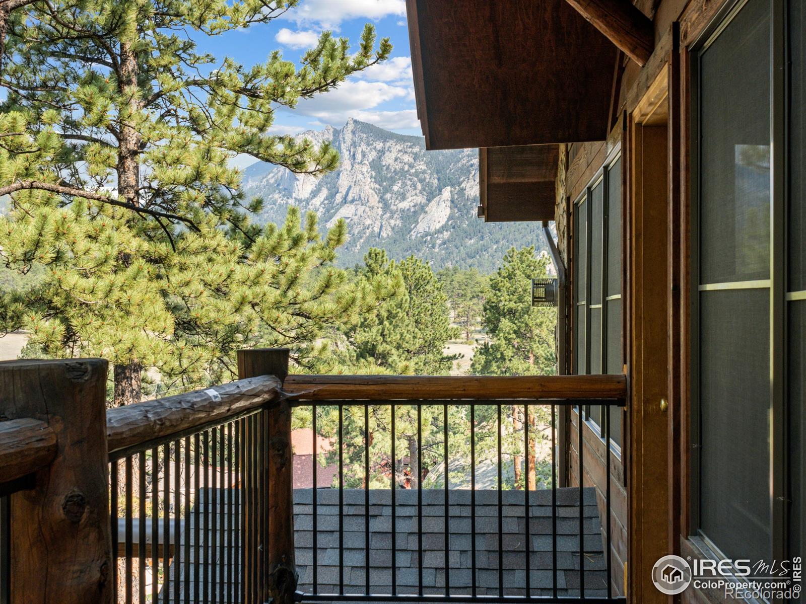 MLS Image #1 for 198  twin owls lane,estes park, Colorado