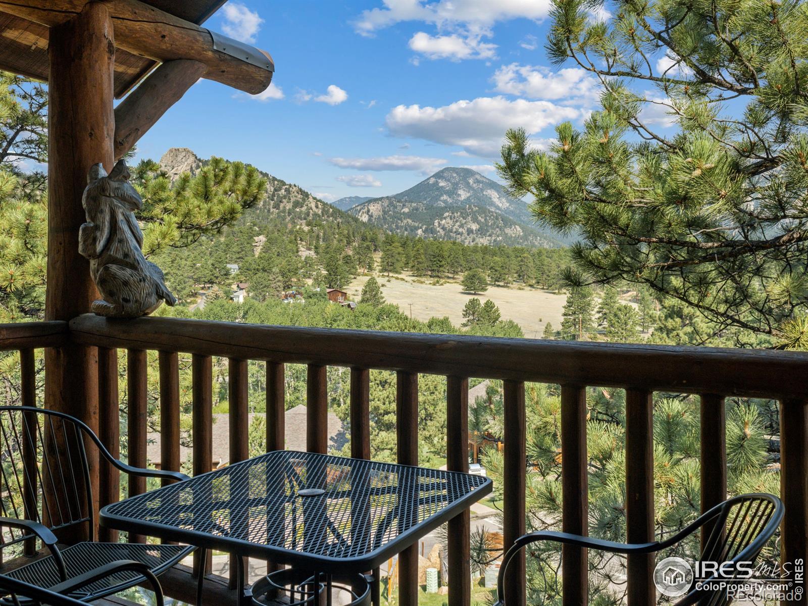 MLS Image #10 for 198  twin owls lane,estes park, Colorado