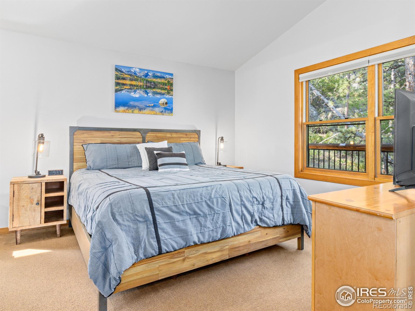 MLS Image #11 for 198  twin owls lane,estes park, Colorado