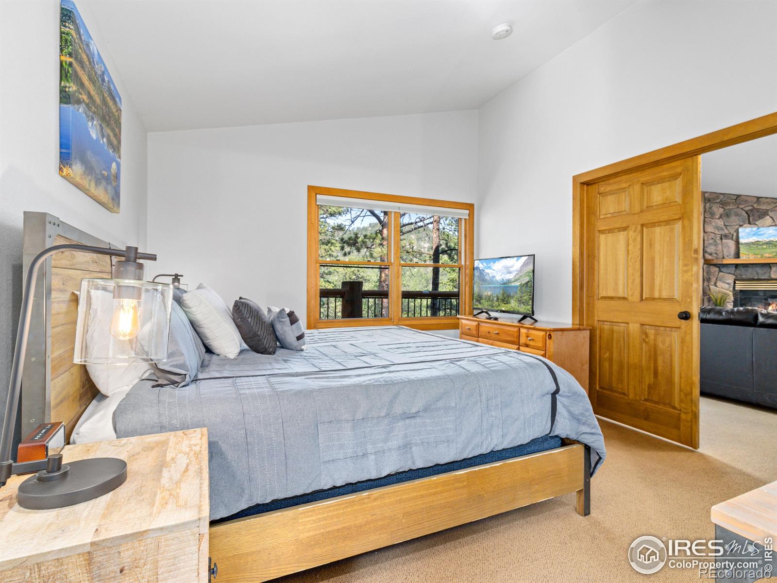 MLS Image #14 for 198  twin owls lane,estes park, Colorado