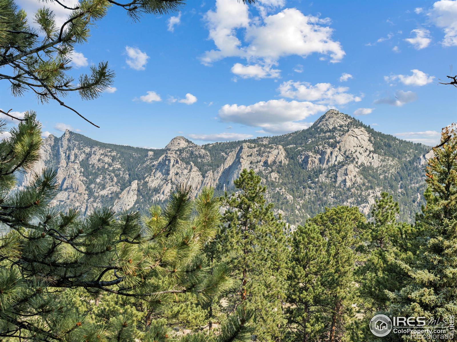 MLS Image #20 for 198  twin owls lane,estes park, Colorado