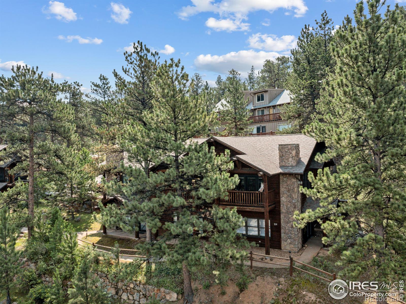 MLS Image #24 for 198  twin owls lane,estes park, Colorado