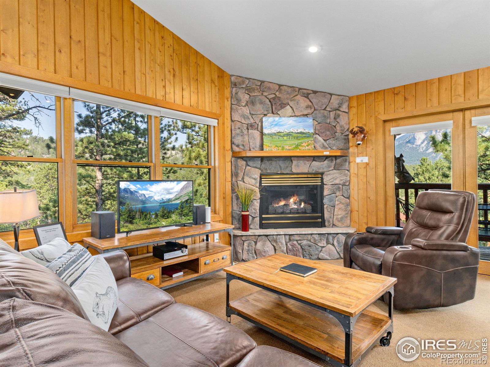 MLS Image #4 for 198  twin owls lane,estes park, Colorado