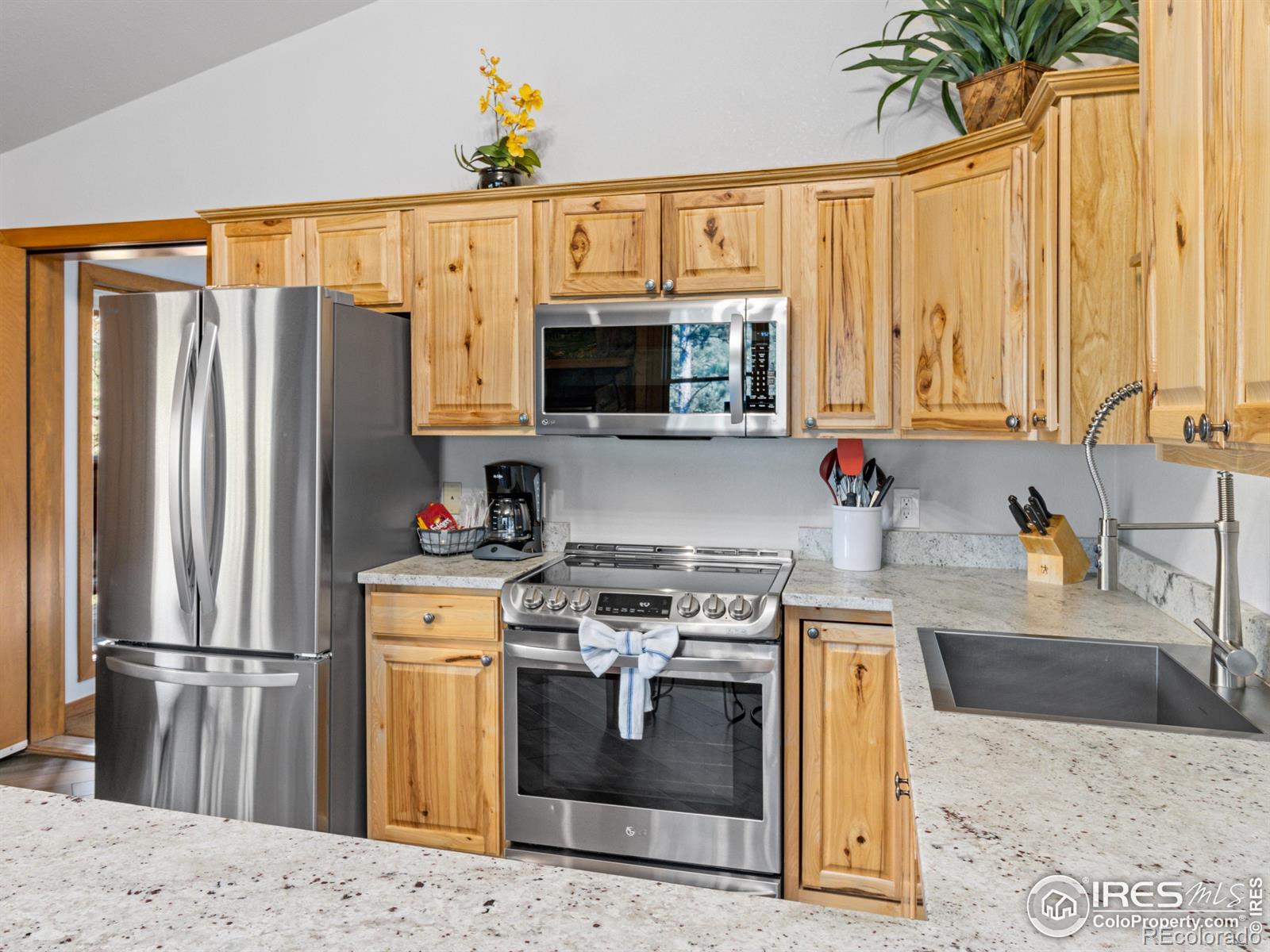MLS Image #6 for 198  twin owls lane,estes park, Colorado