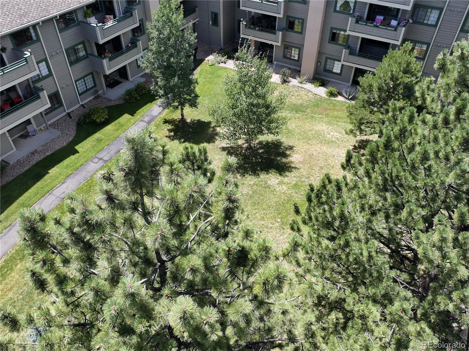 MLS Image #1 for 31719  rocky village drive,evergreen, Colorado
