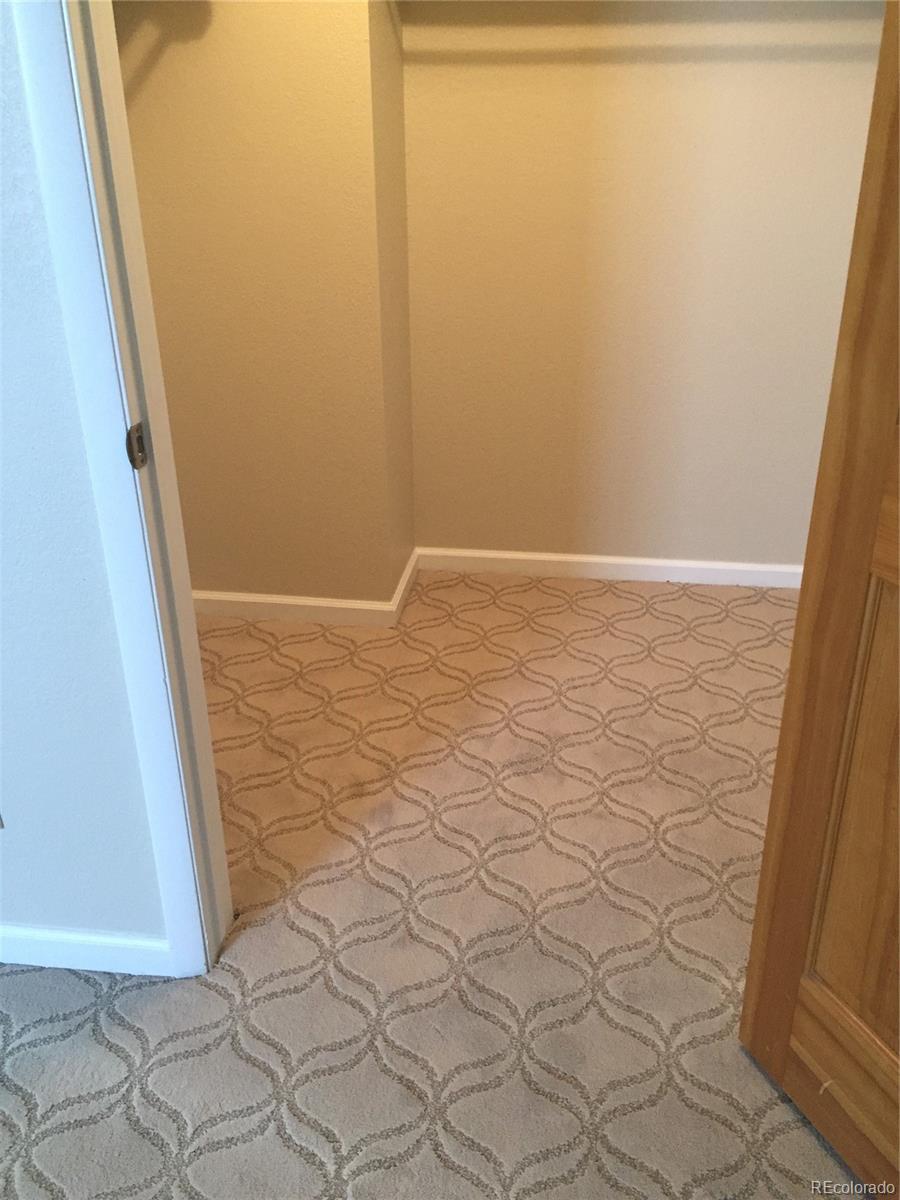 MLS Image #14 for 31719  rocky village drive,evergreen, Colorado