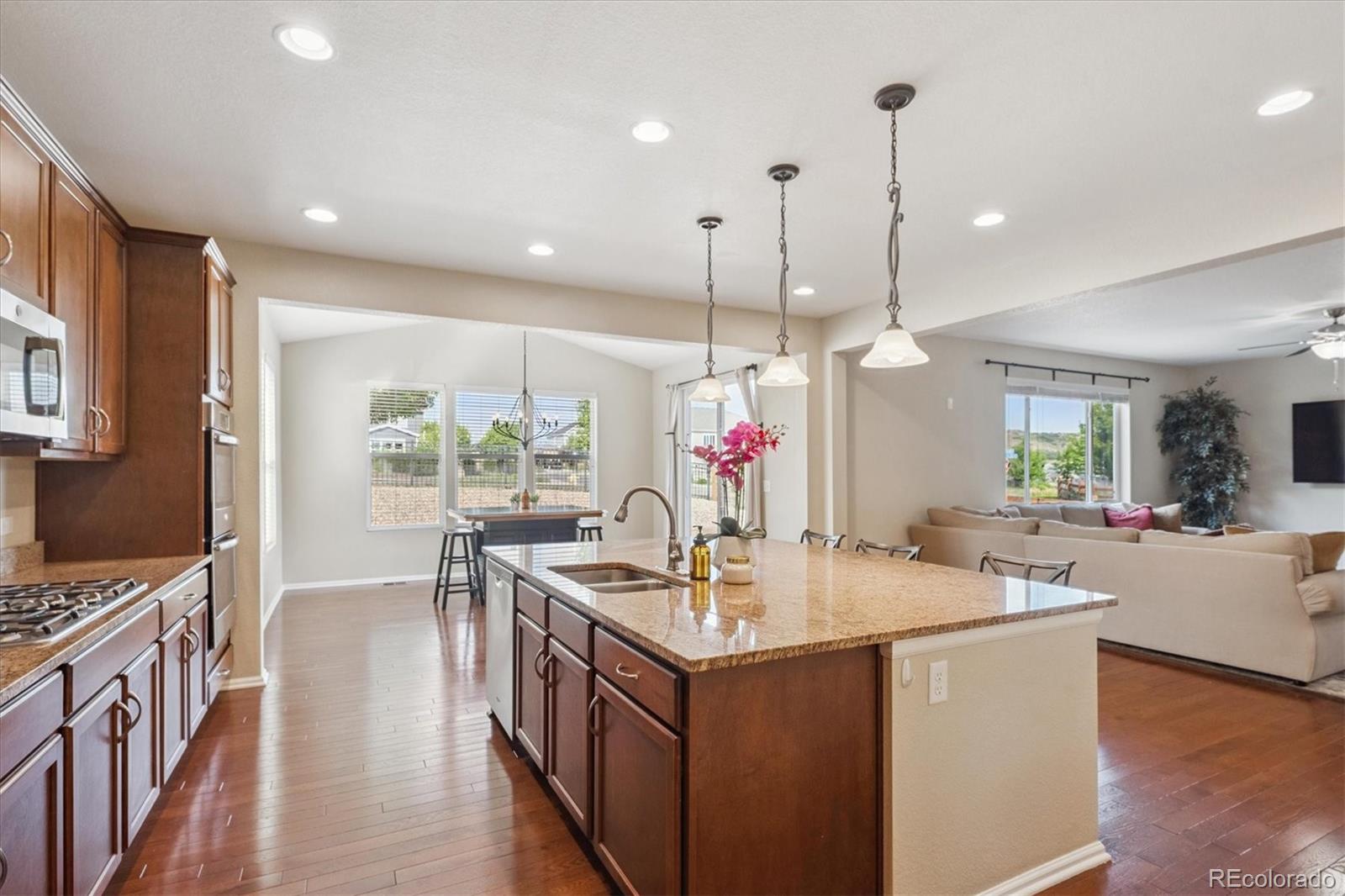 MLS Image #9 for 7310  blue water drive,castle rock, Colorado