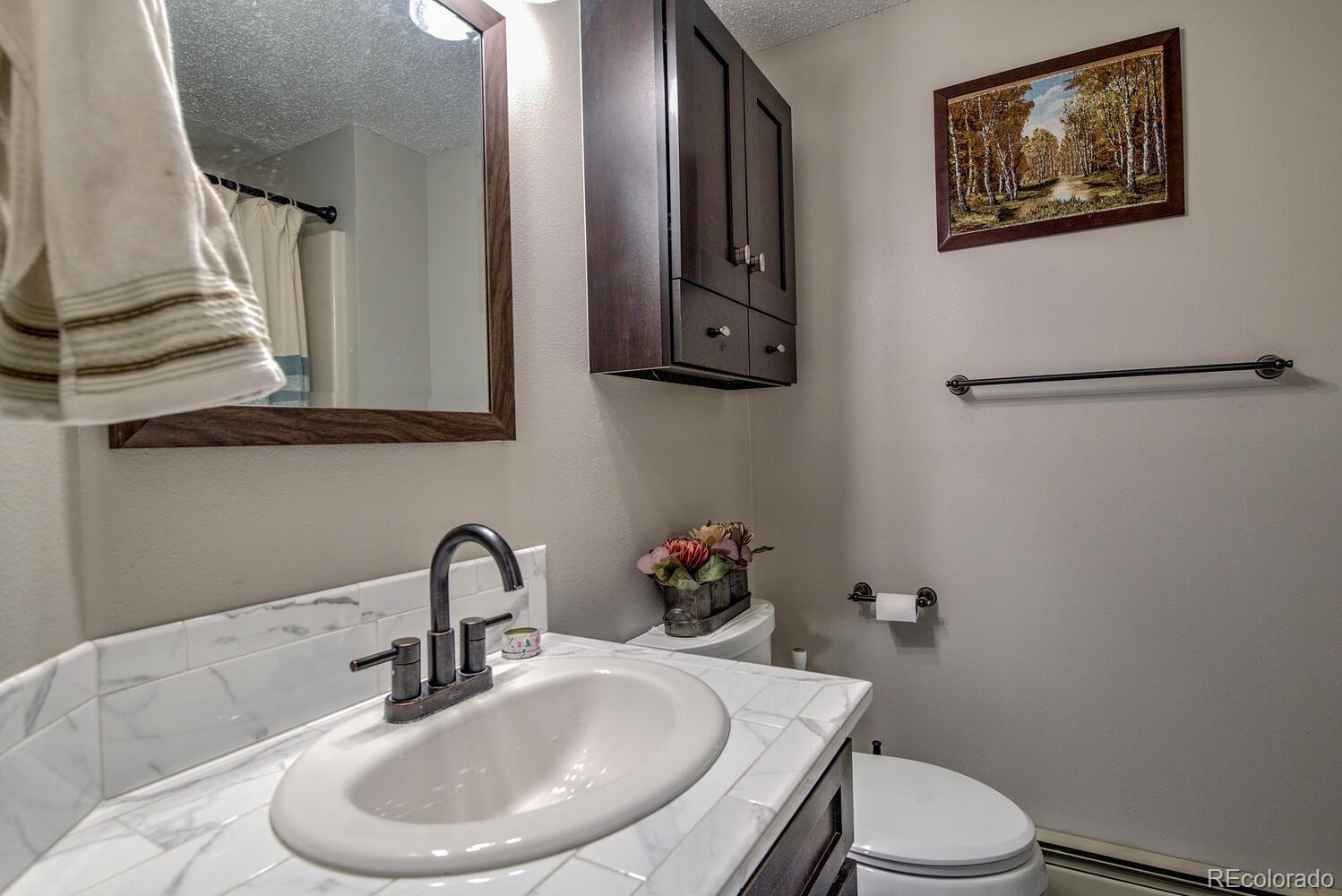 MLS Image #10 for 2010  silverheels drive,silverthorne, Colorado