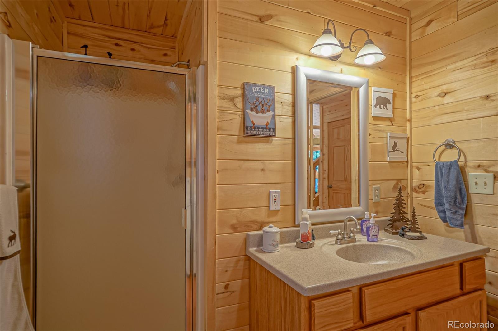 MLS Image #21 for 72  columbine ,cuchara, Colorado