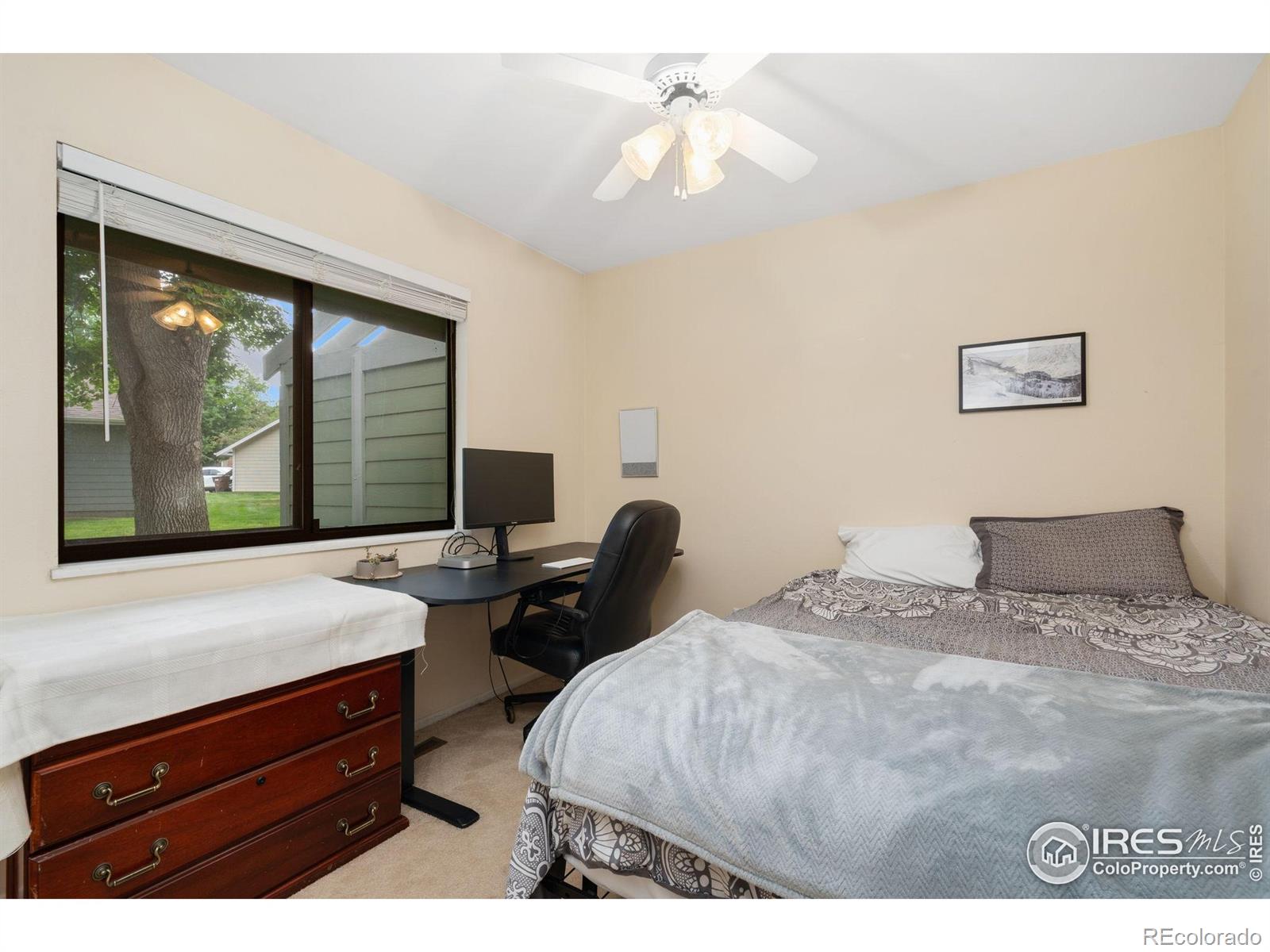 MLS Image #11 for 3500  rolling green drive,fort collins, Colorado