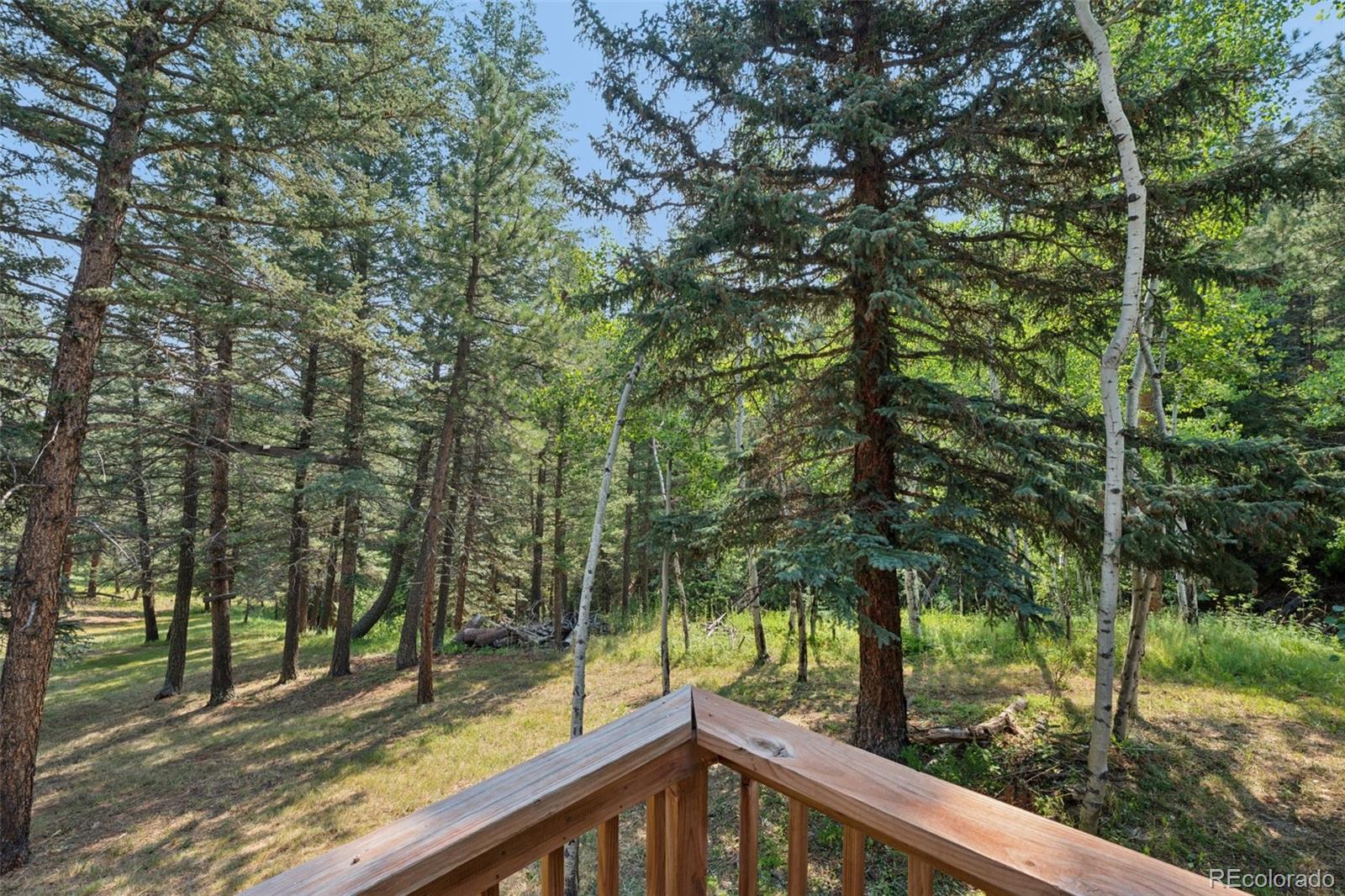 MLS Image #24 for 264  whiskey jay hill road,evergreen, Colorado