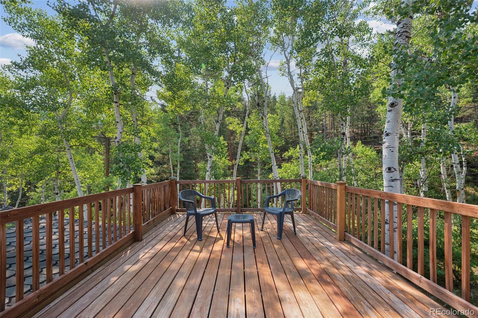 MLS Image #26 for 264  whiskey jay hill road,evergreen, Colorado