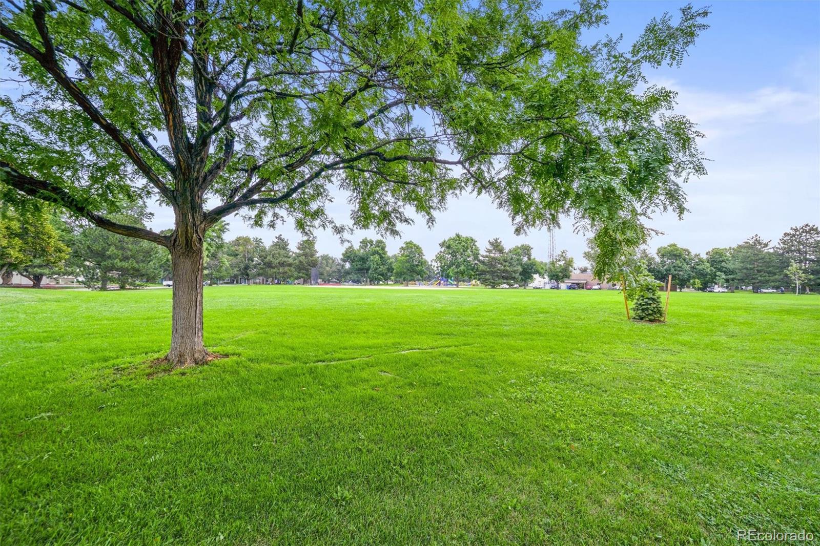 MLS Image #5 for 3354 s flower street,lakewood, Colorado