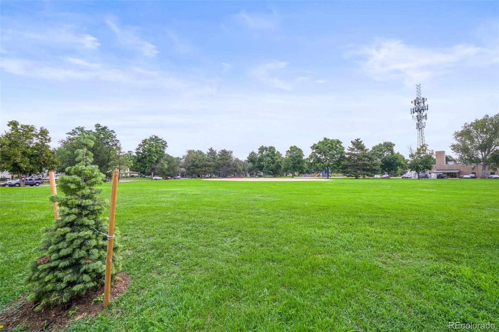 MLS Image #7 for 3354 s flower street,lakewood, Colorado