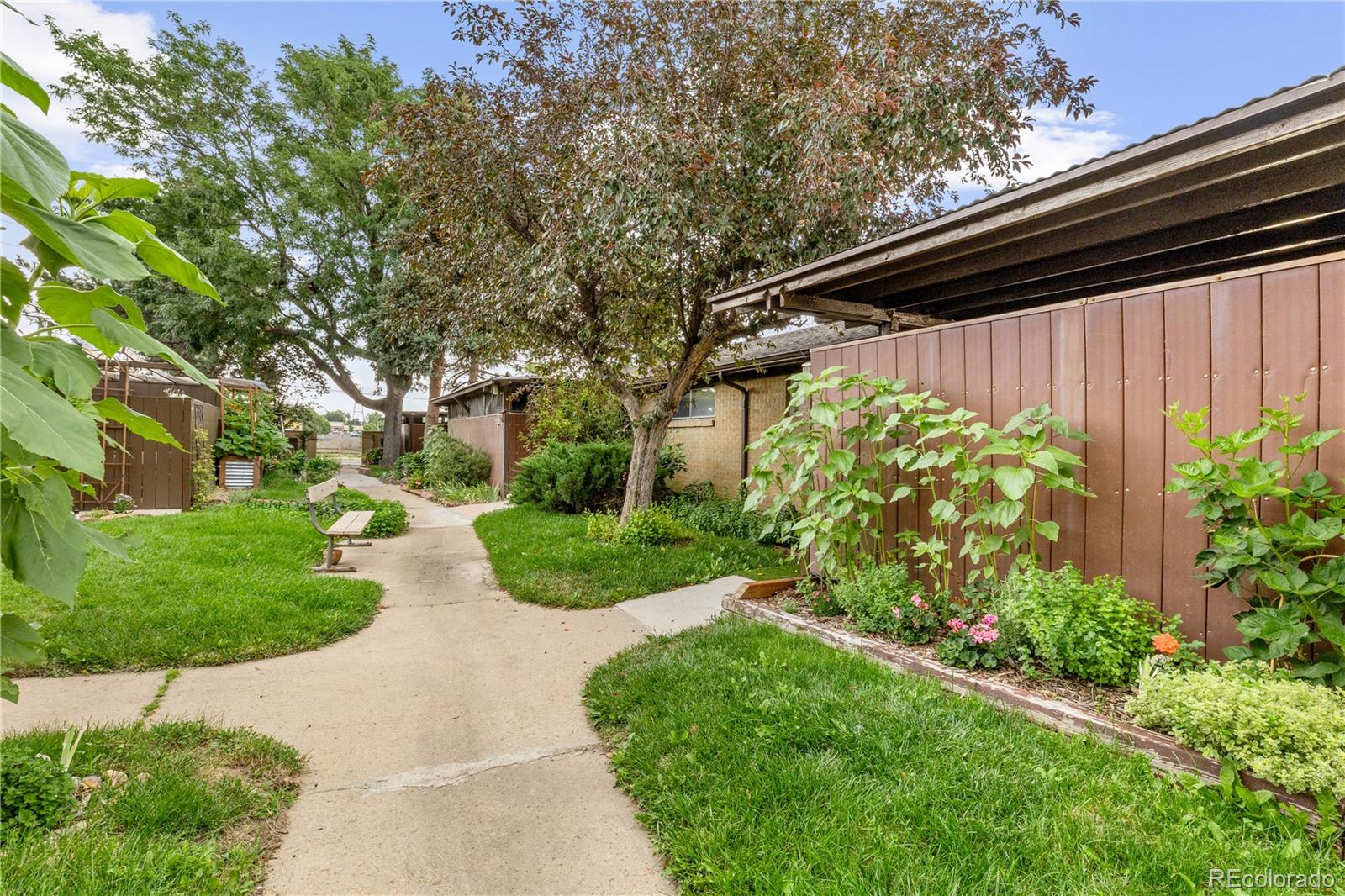 MLS Image #2 for 6506 w 14th avenue,lakewood, Colorado