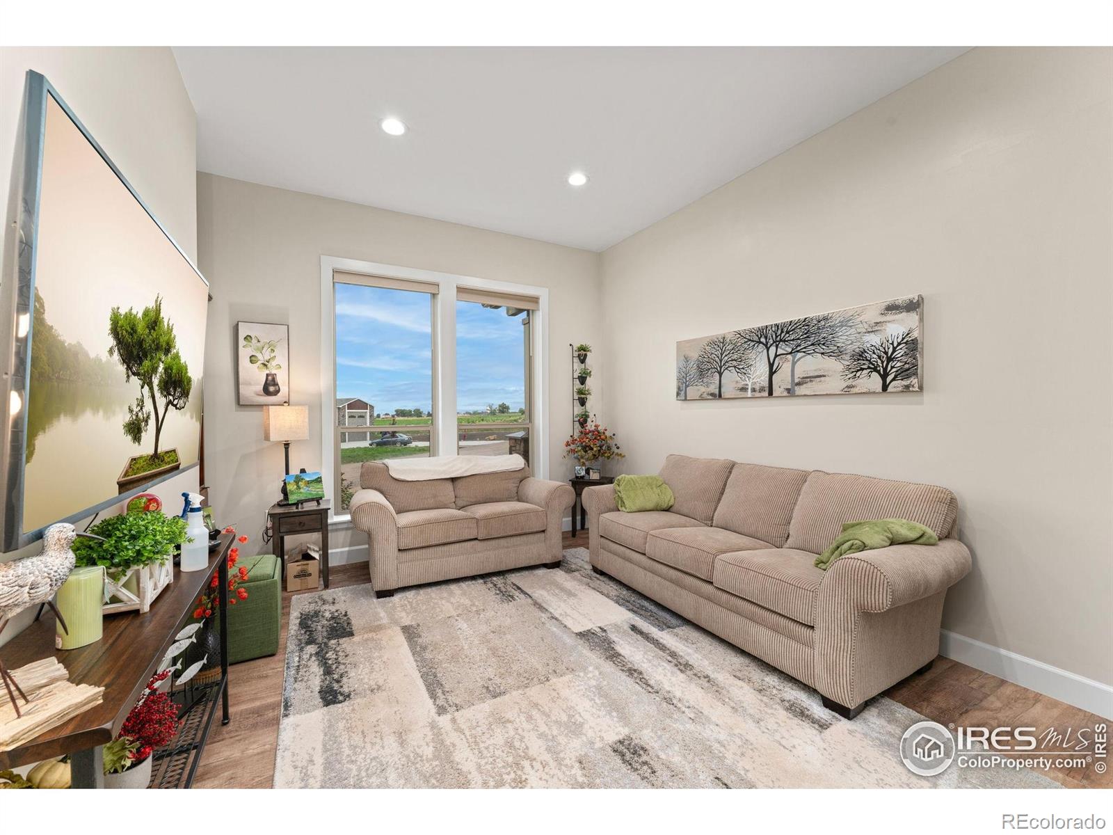 MLS Image #10 for 2320  apple street,longmont, Colorado