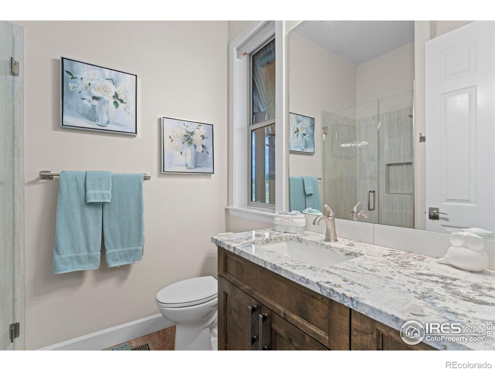 MLS Image #19 for 2320  apple street,longmont, Colorado