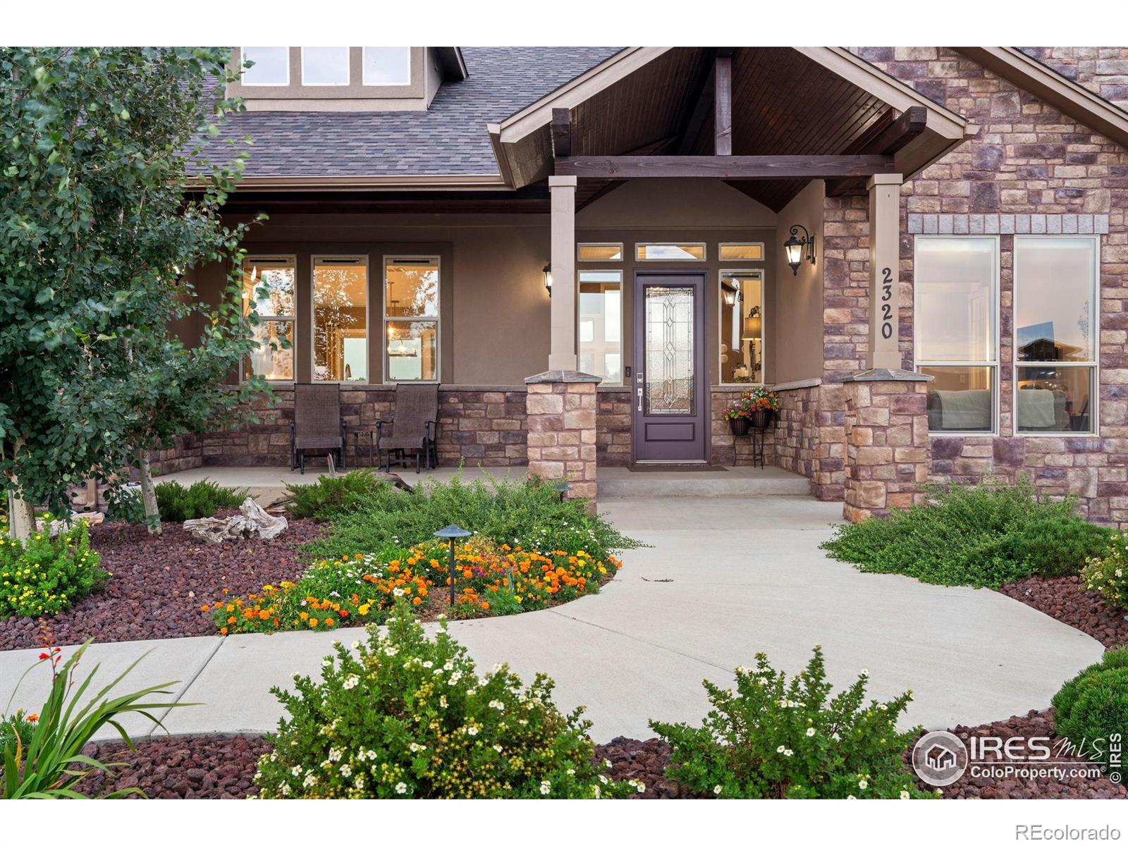 MLS Image #2 for 2320  apple street,longmont, Colorado
