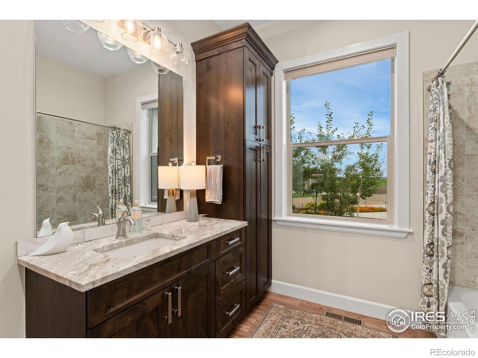 MLS Image #20 for 2320  apple street,longmont, Colorado