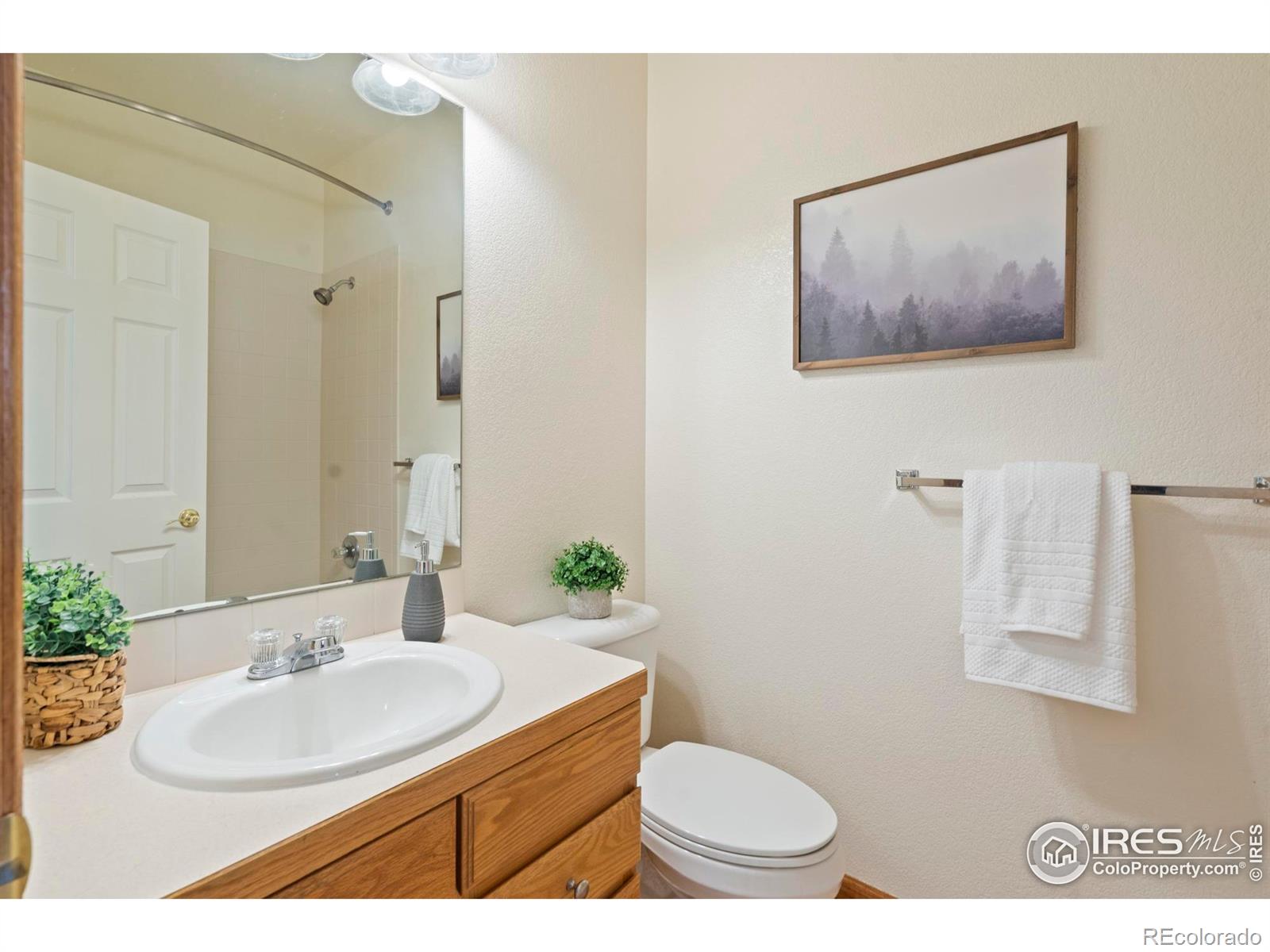 MLS Image #17 for 1916  hillside place,windsor, Colorado