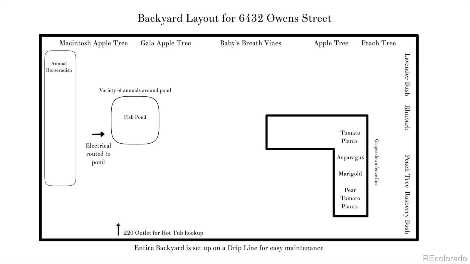 MLS Image #24 for 6432  owens street,arvada, Colorado