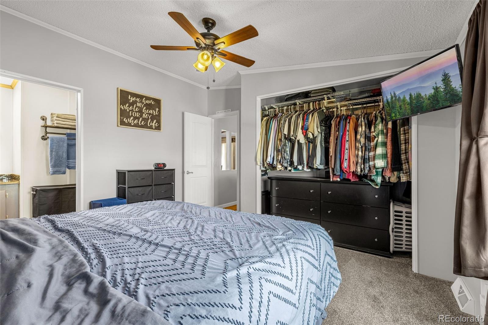 MLS Image #15 for 5850  prospero road,peyton, Colorado