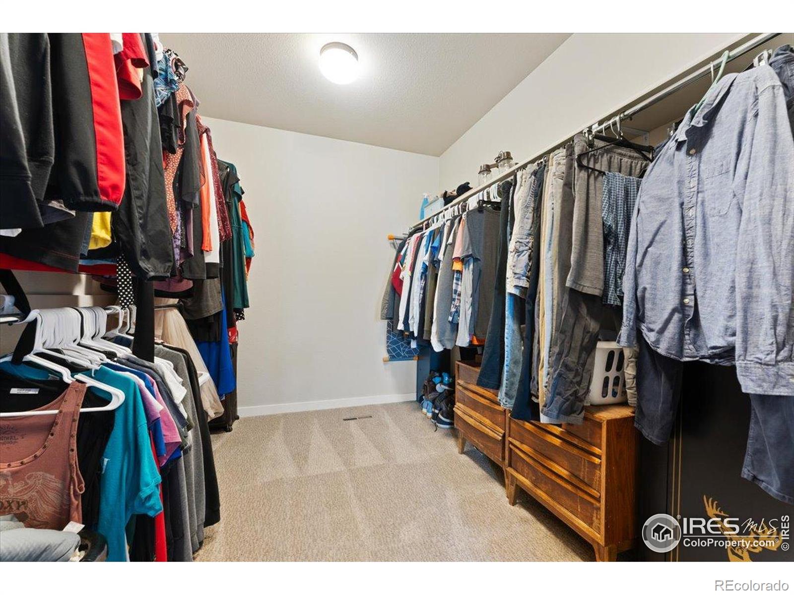 MLS Image #20 for 3804  buckthorn street,wellington, Colorado