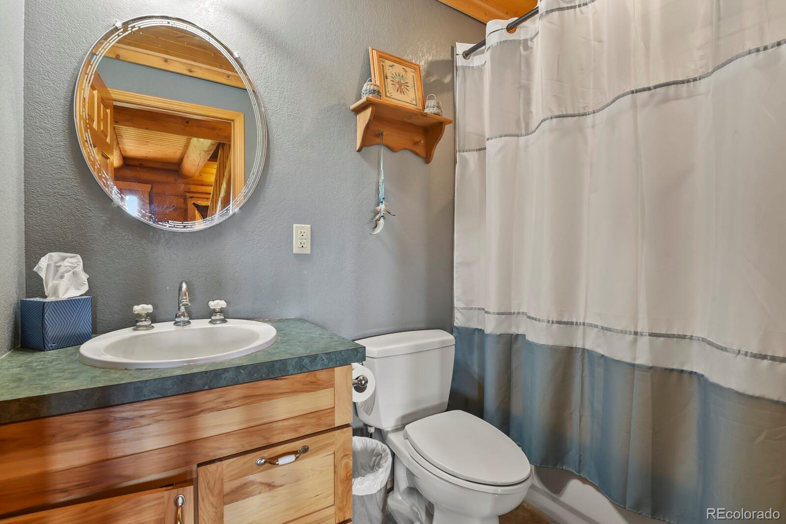 MLS Image #10 for 1180  castle pointe drive,castle rock, Colorado