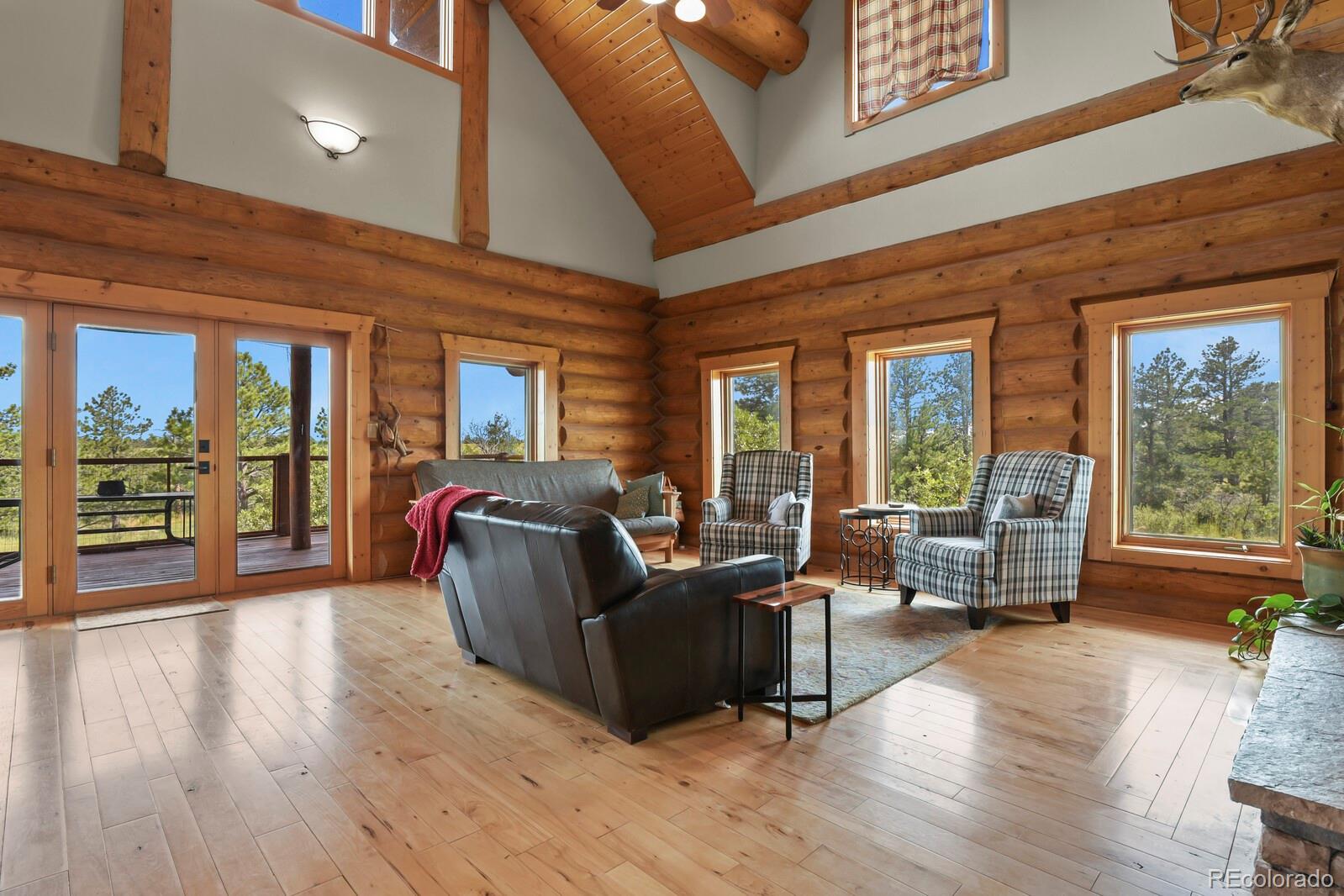 MLS Image #16 for 1180  castle pointe drive,castle rock, Colorado