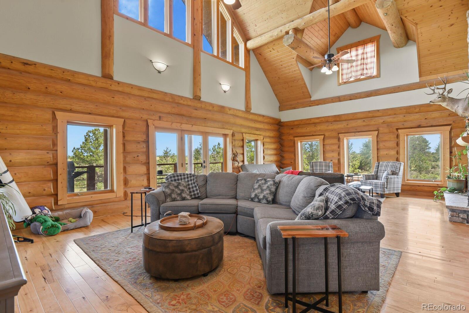 MLS Image #20 for 1180  castle pointe drive,castle rock, Colorado