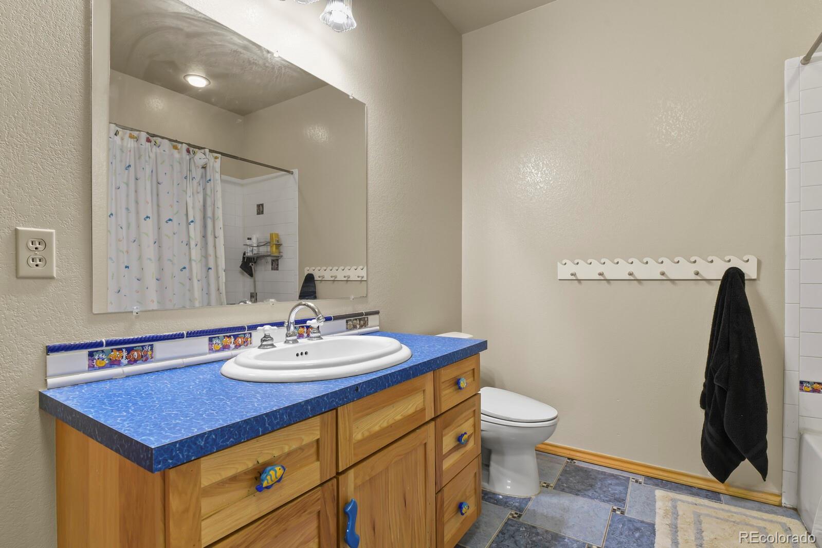 MLS Image #29 for 1180  castle pointe drive,castle rock, Colorado