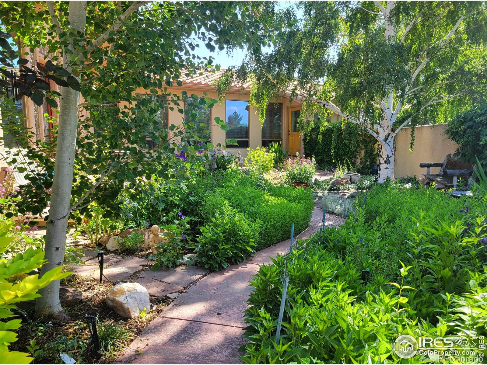 MLS Image #5 for 3993  nelson road,longmont, Colorado