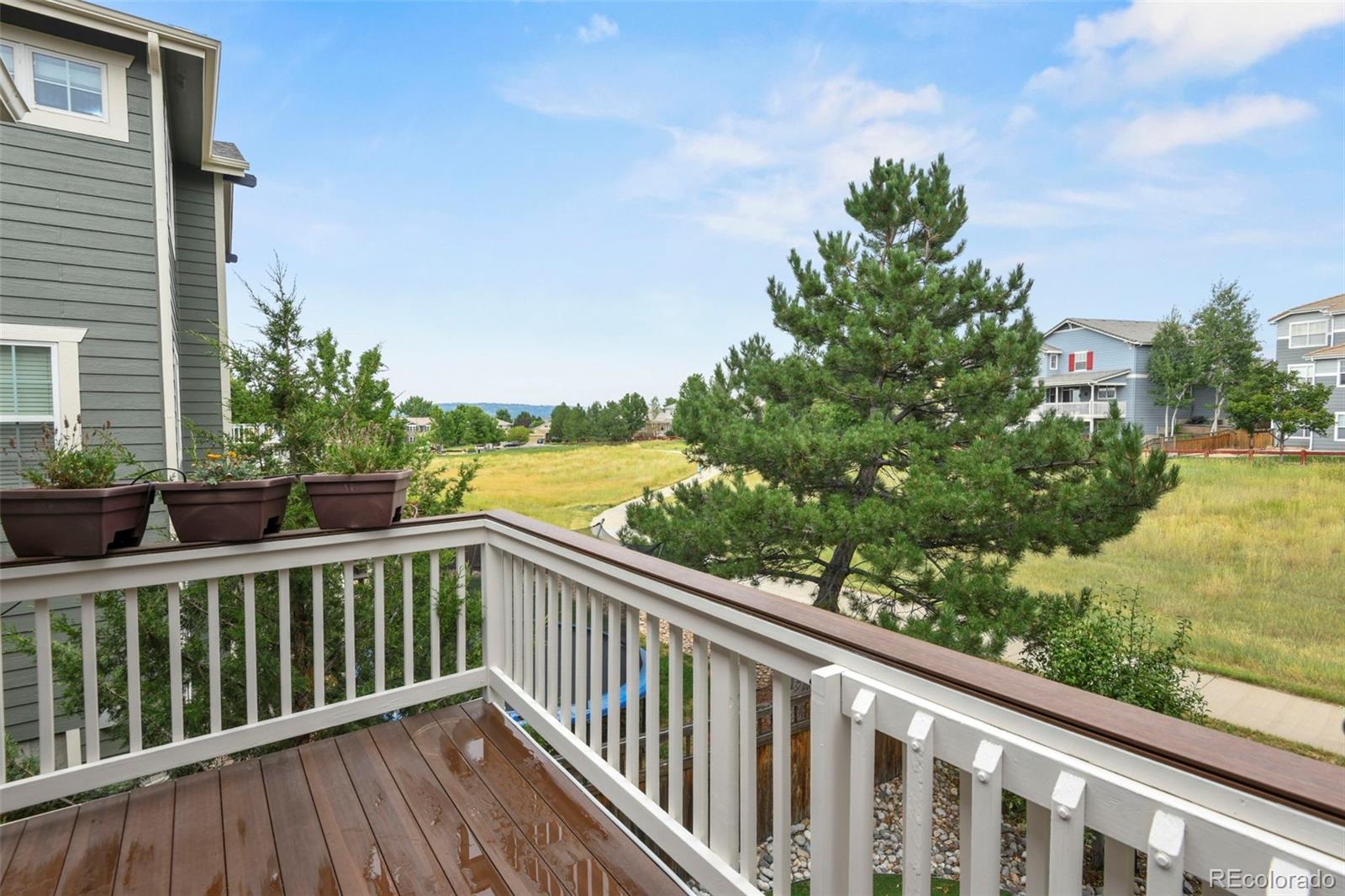 MLS Image #2 for 3252  willowrun drive,castle rock, Colorado