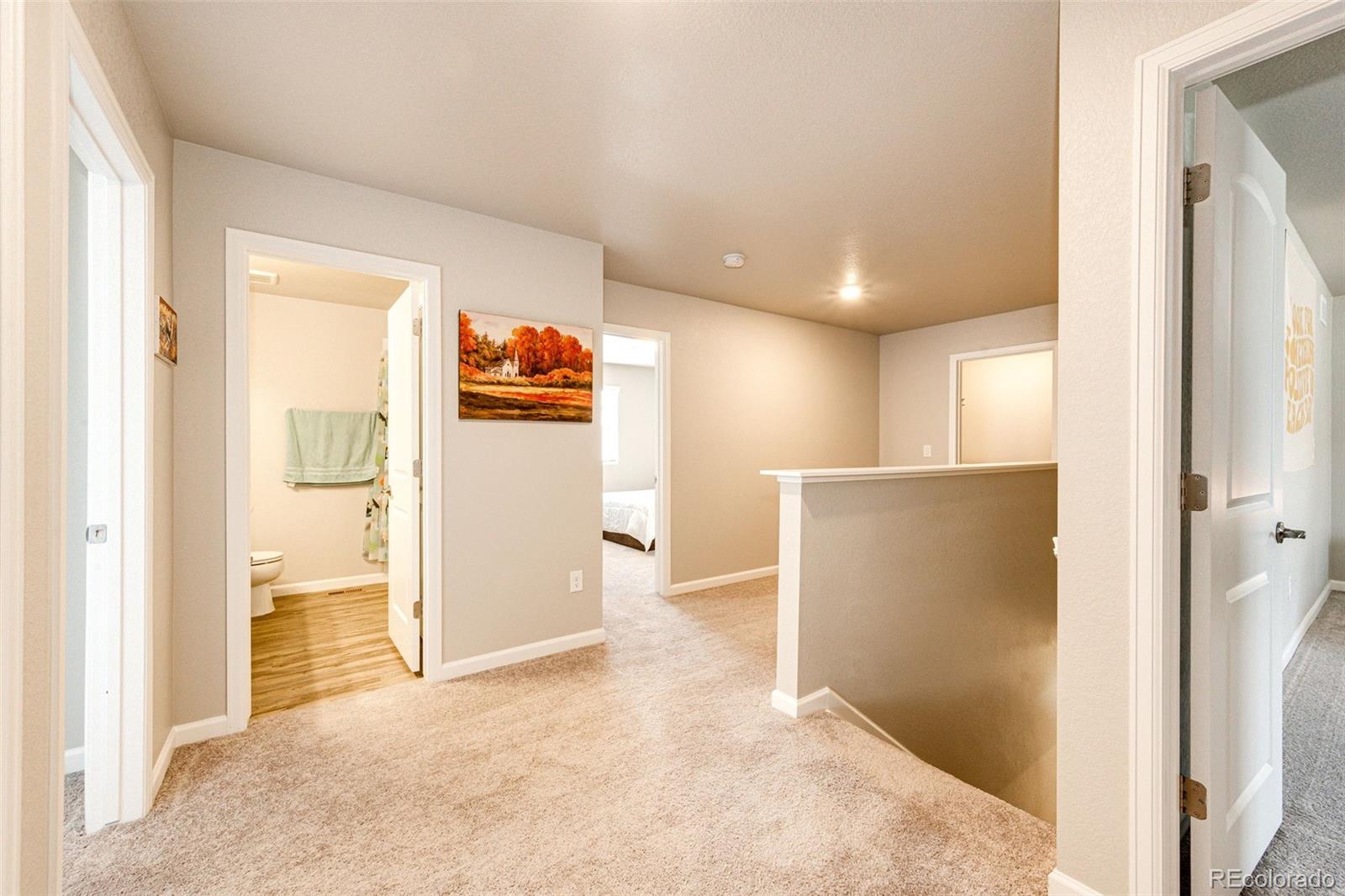 MLS Image #13 for 5351  lumos lane,castle rock, Colorado