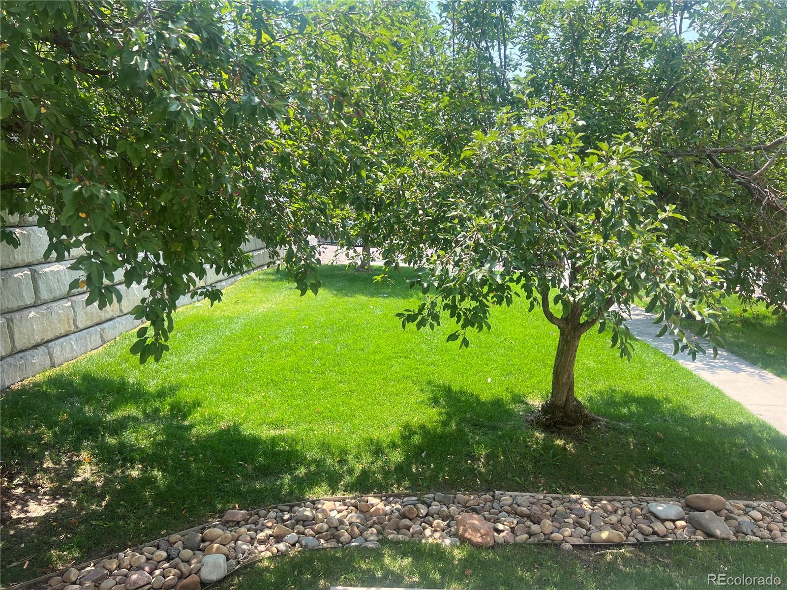 MLS Image #39 for 2091  squawbush ridge,colorado springs, Colorado