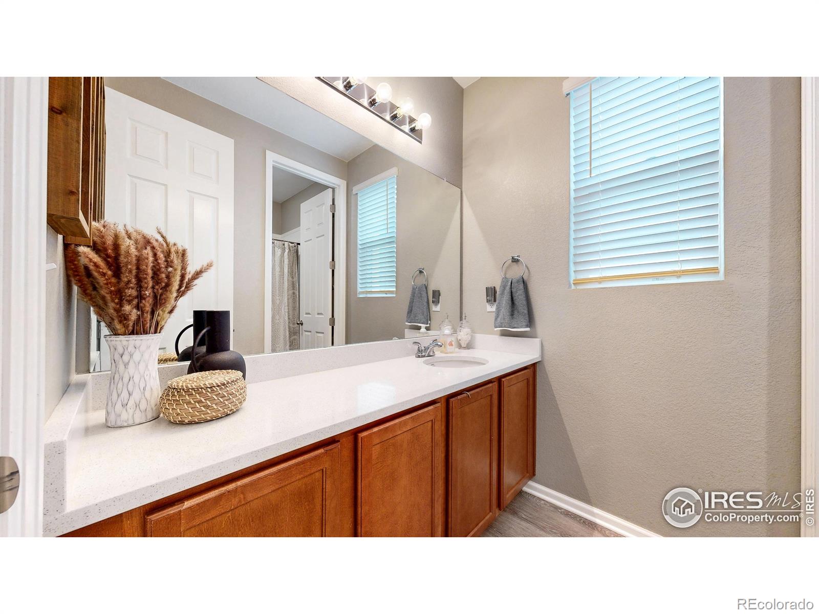 MLS Image #20 for 4504  hollycomb drive,windsor, Colorado