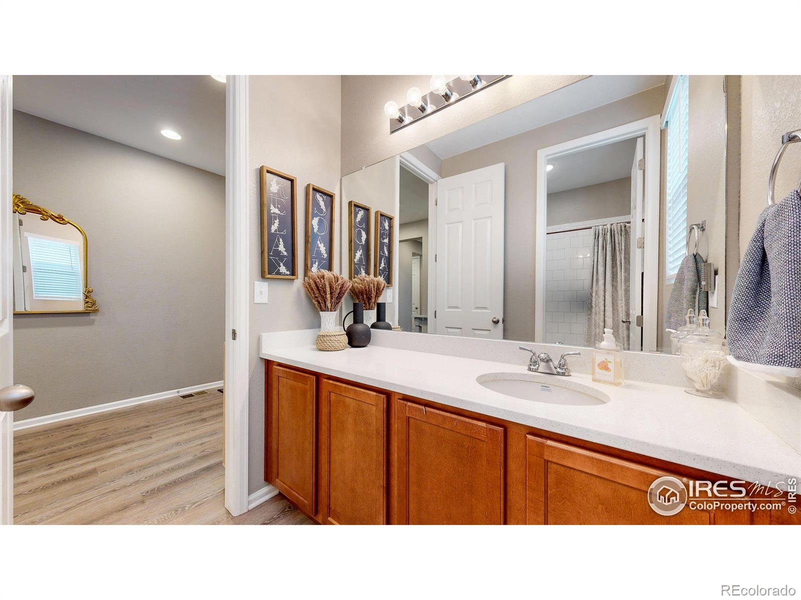 MLS Image #21 for 4504  hollycomb drive,windsor, Colorado