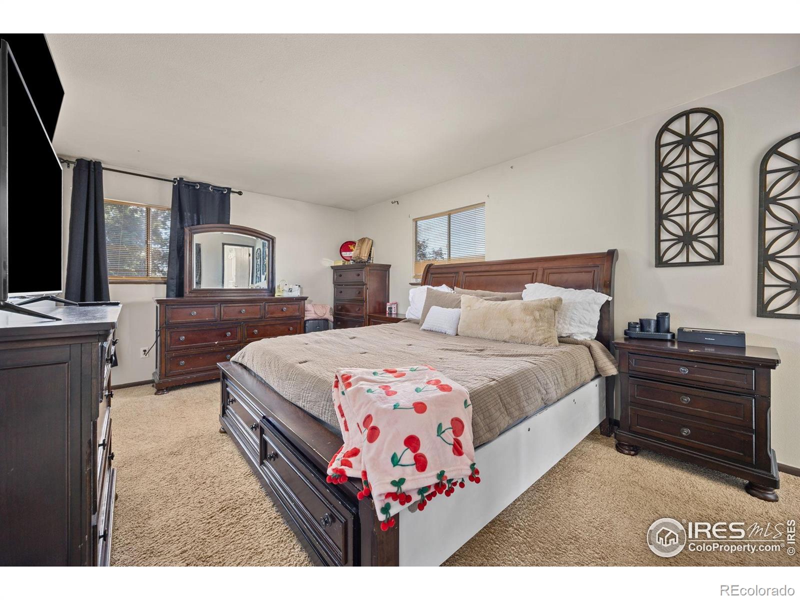 MLS Image #14 for 2402  mountair lane,greeley, Colorado
