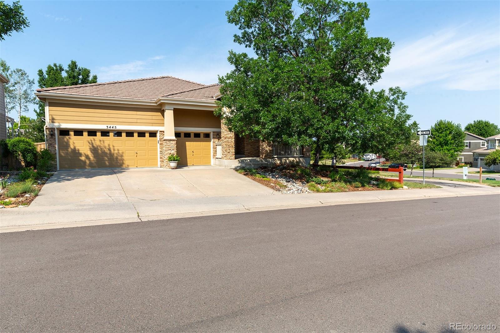 CMA Image for 3445  Springbriar Drive,Castle Rock, Colorado