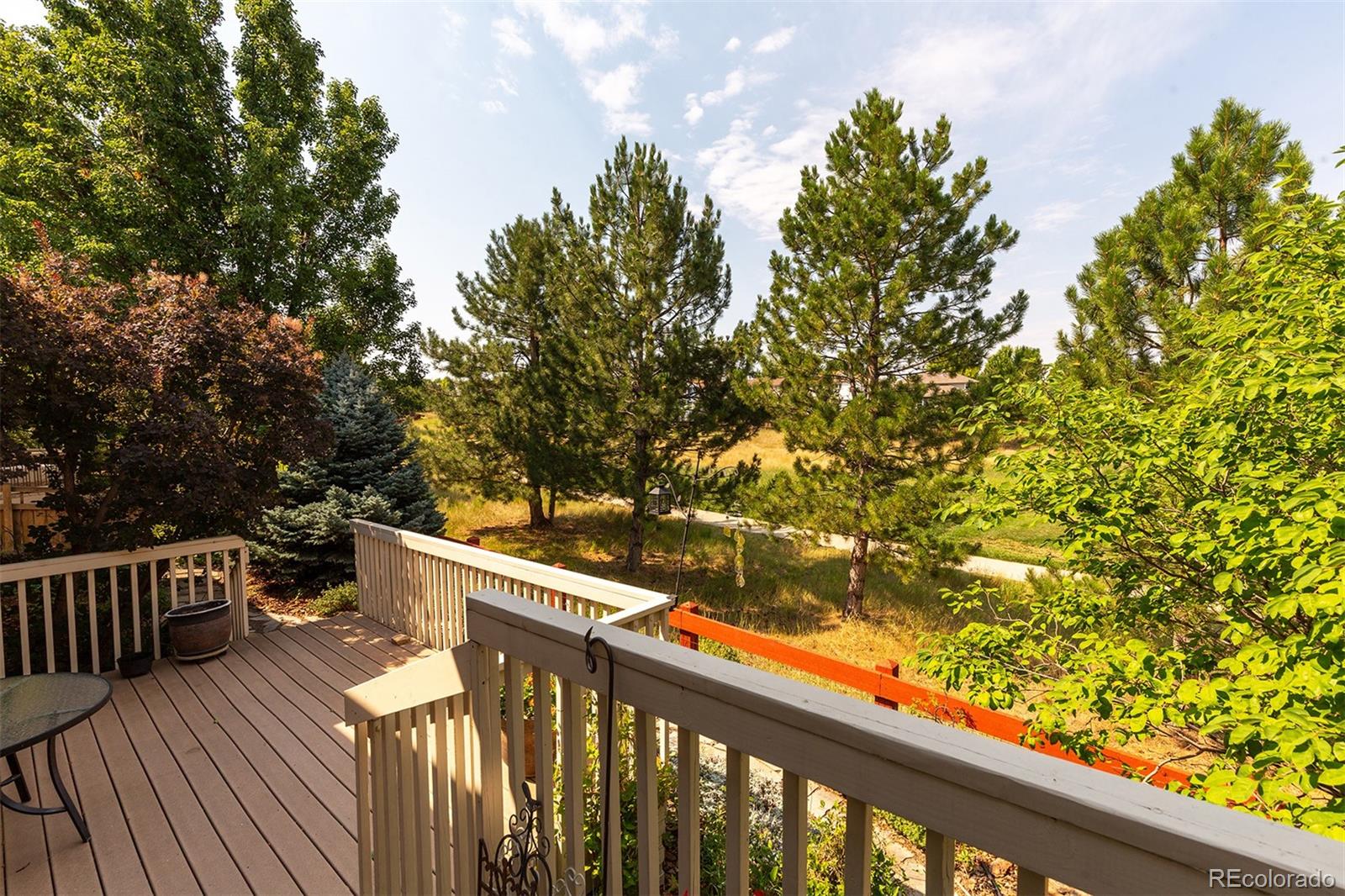 MLS Image #39 for 3445  springbriar drive,castle rock, Colorado