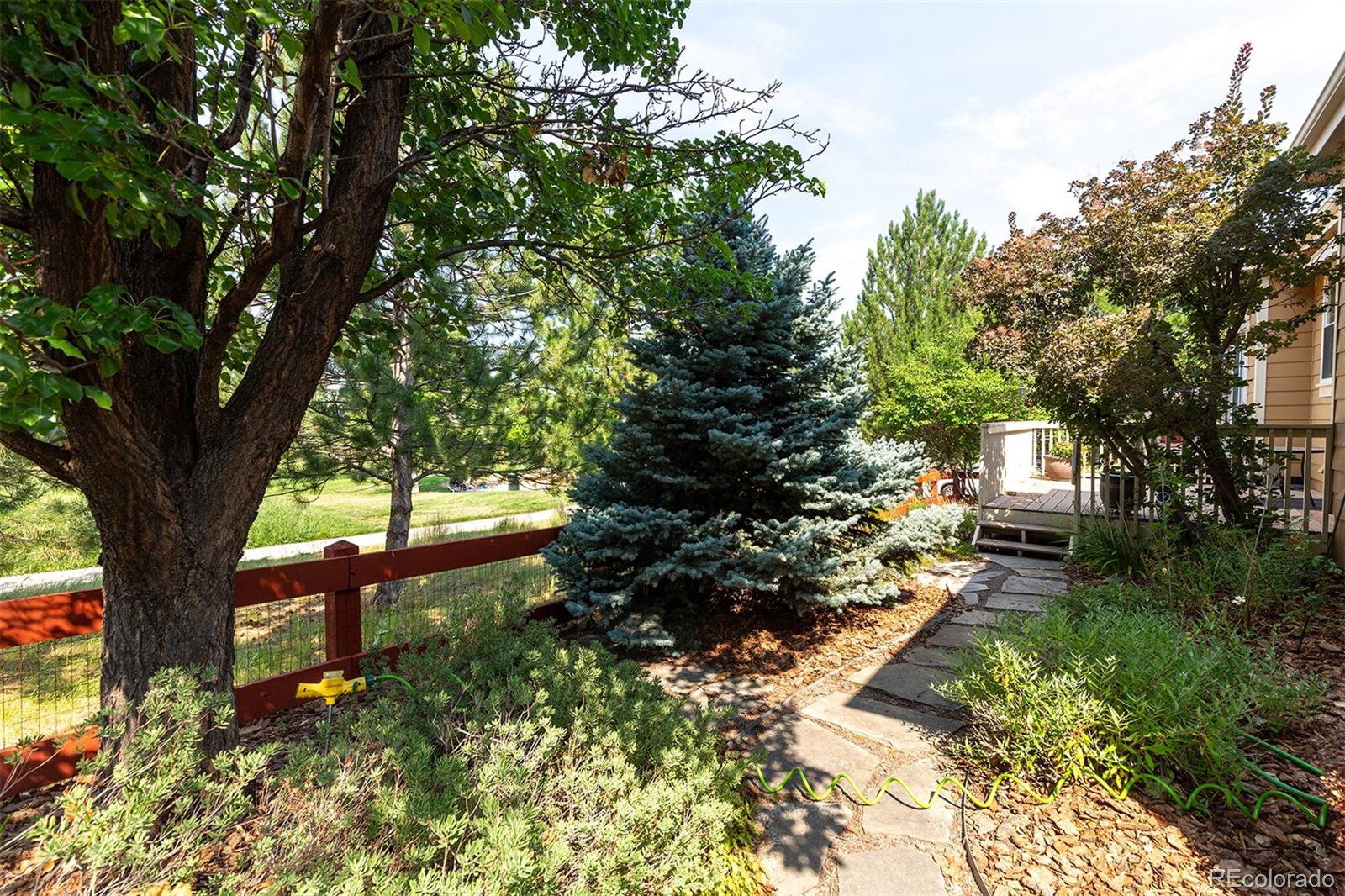 MLS Image #42 for 3445  springbriar drive,castle rock, Colorado