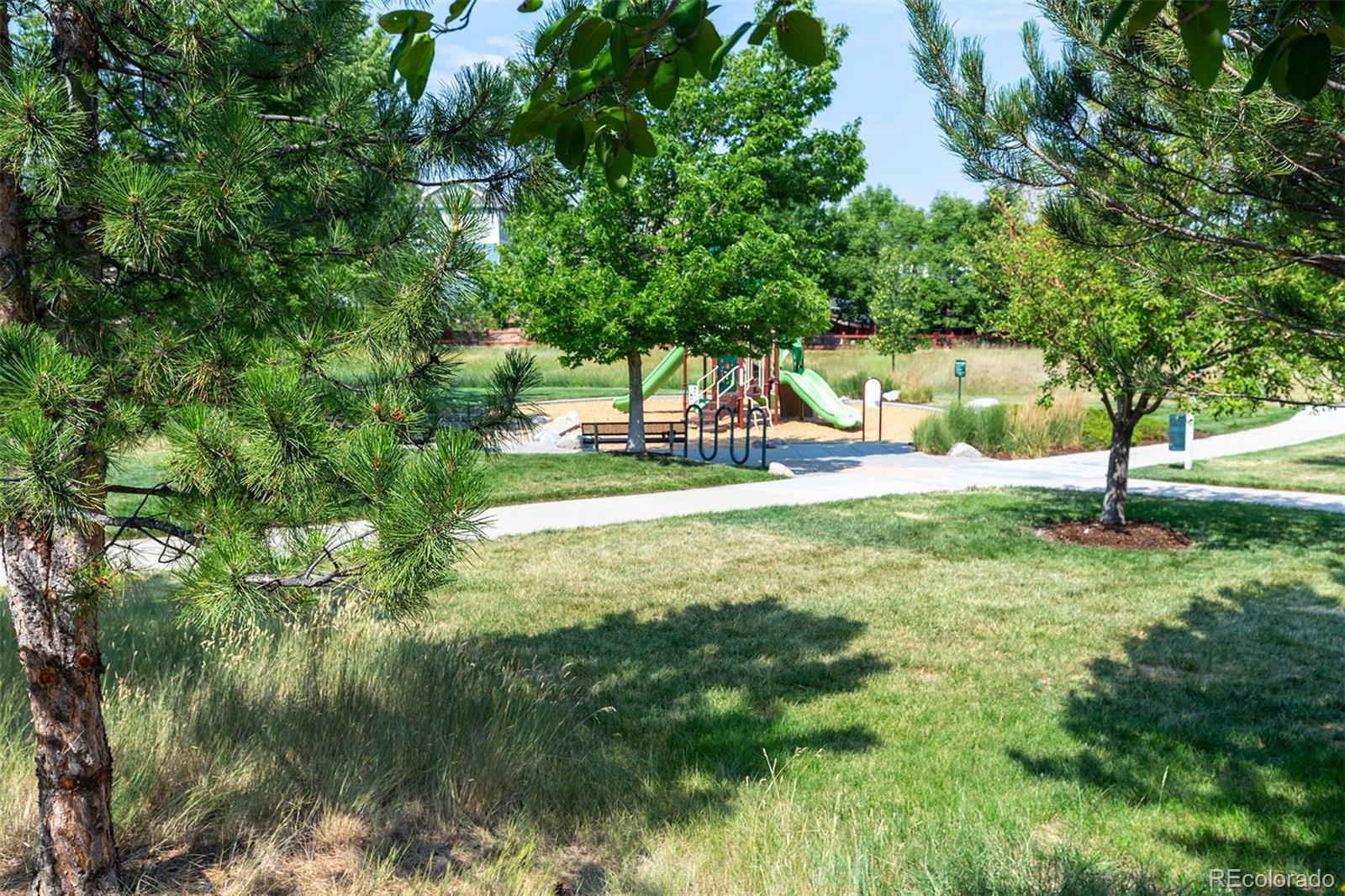 MLS Image #45 for 3445  springbriar drive,castle rock, Colorado