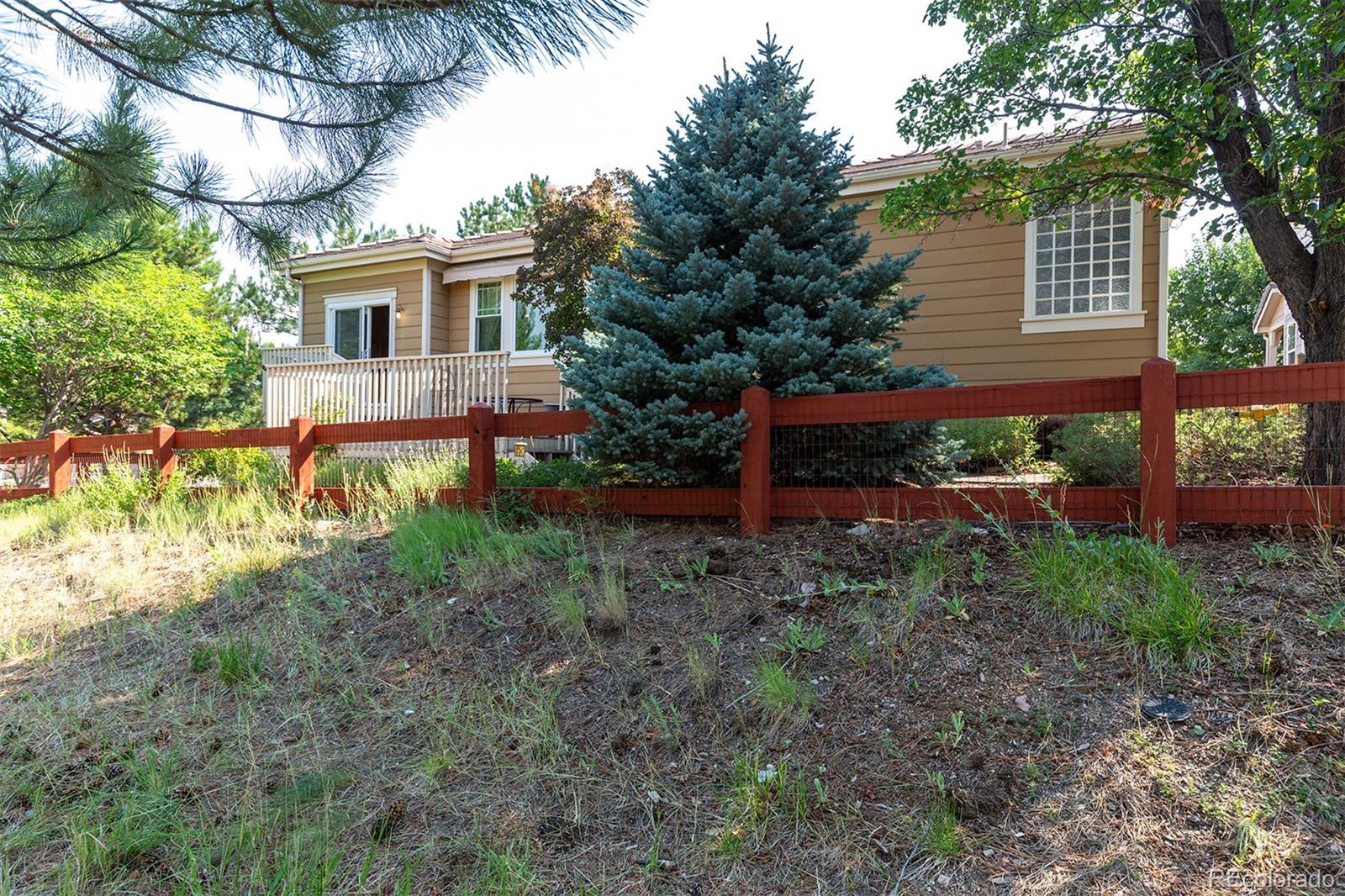 MLS Image #6 for 3445  springbriar drive,castle rock, Colorado