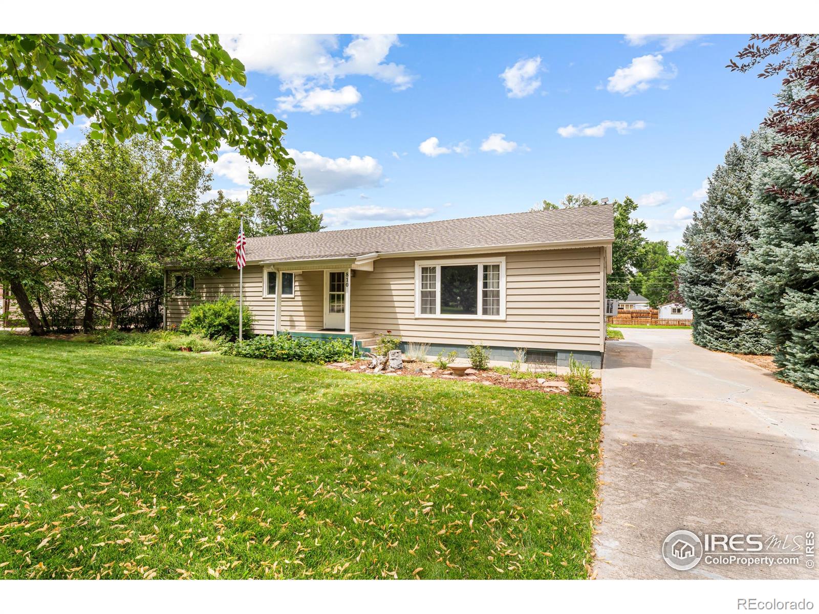 MLS Image #2 for 810  elm street,windsor, Colorado
