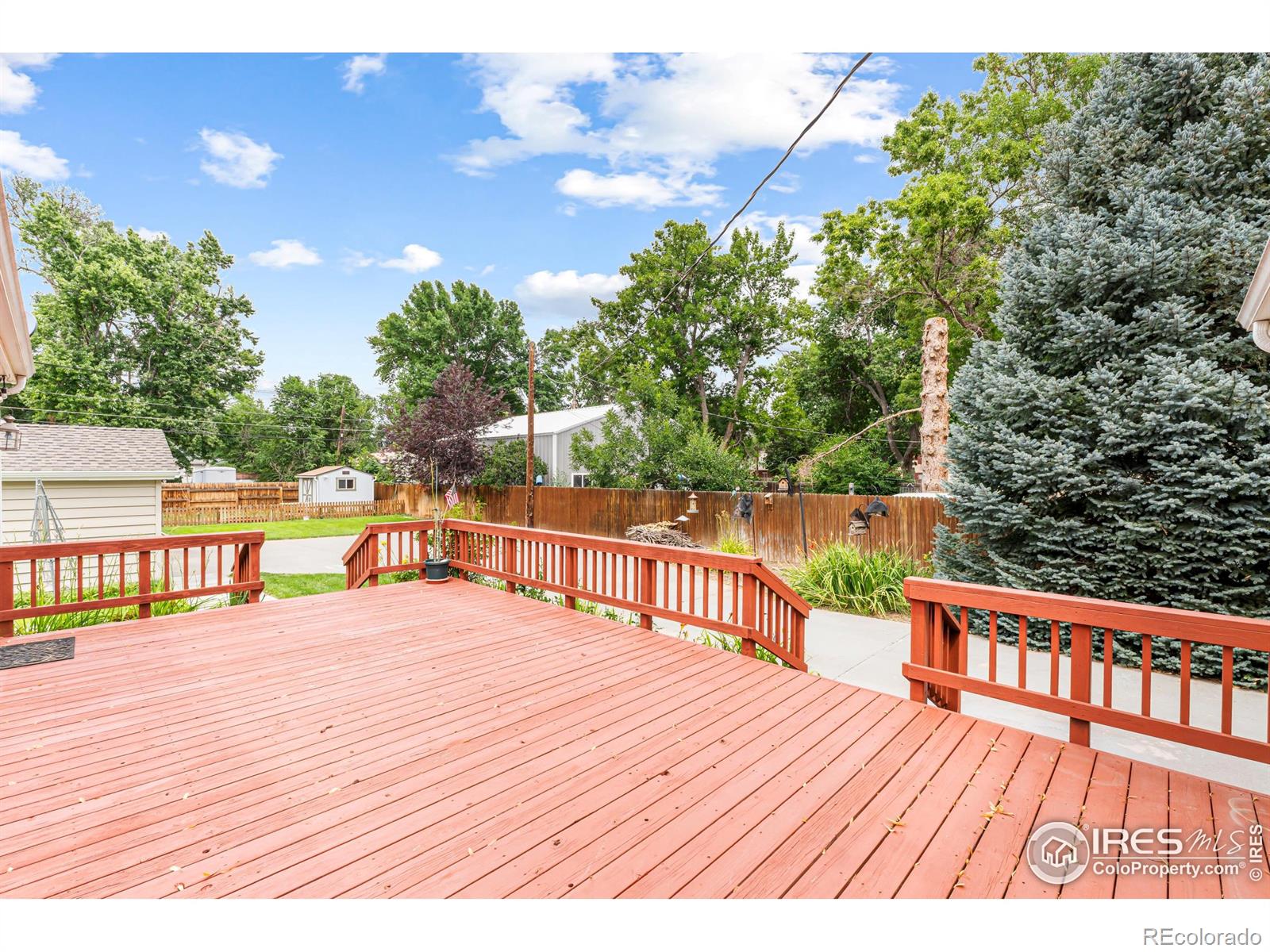 MLS Image #28 for 810  elm street,windsor, Colorado