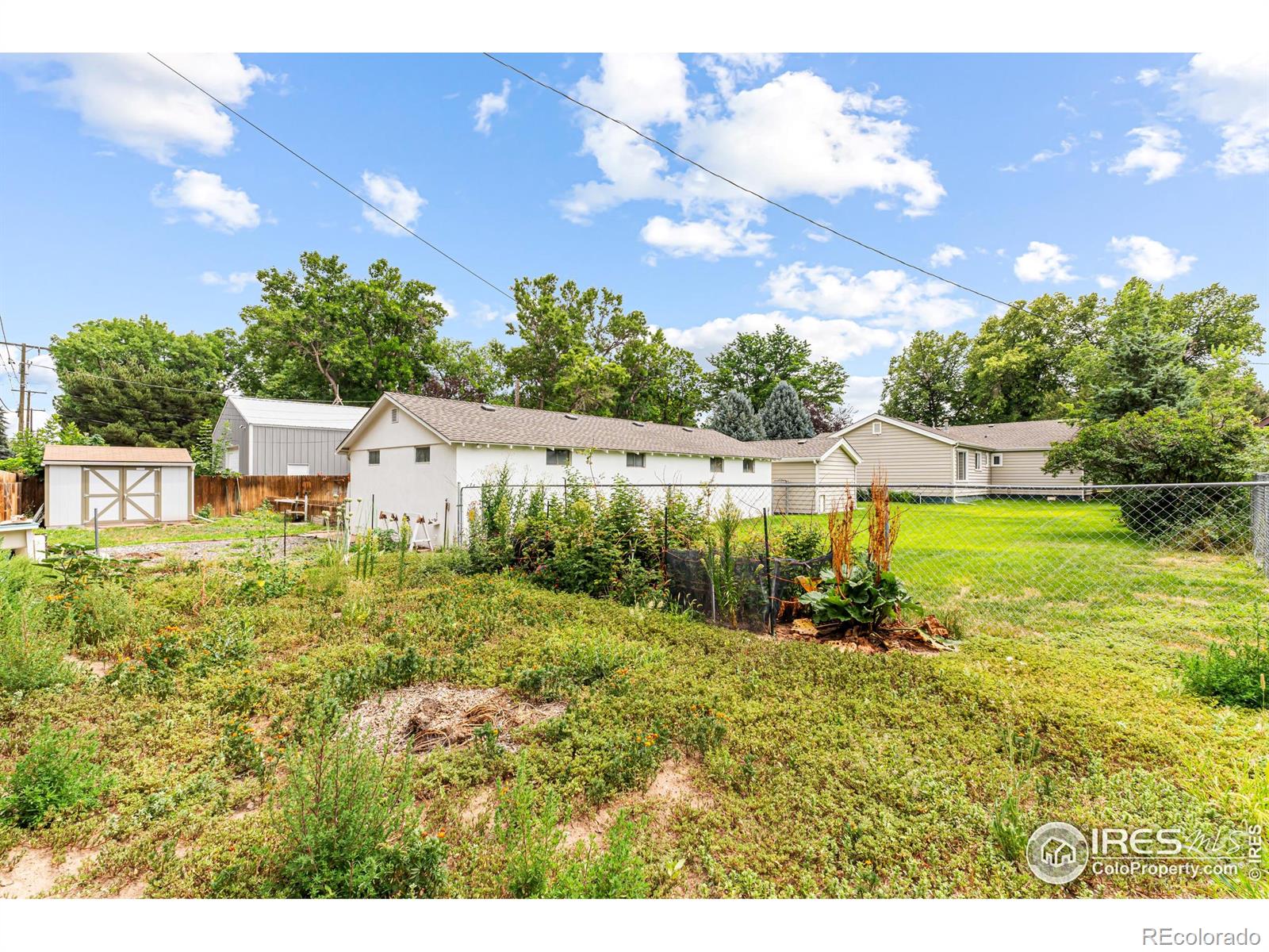 MLS Image #33 for 810  elm street,windsor, Colorado
