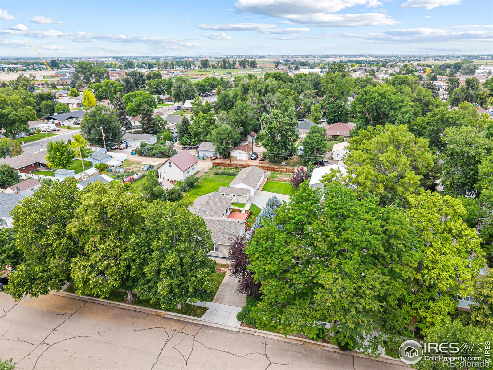 MLS Image #36 for 810  elm street,windsor, Colorado
