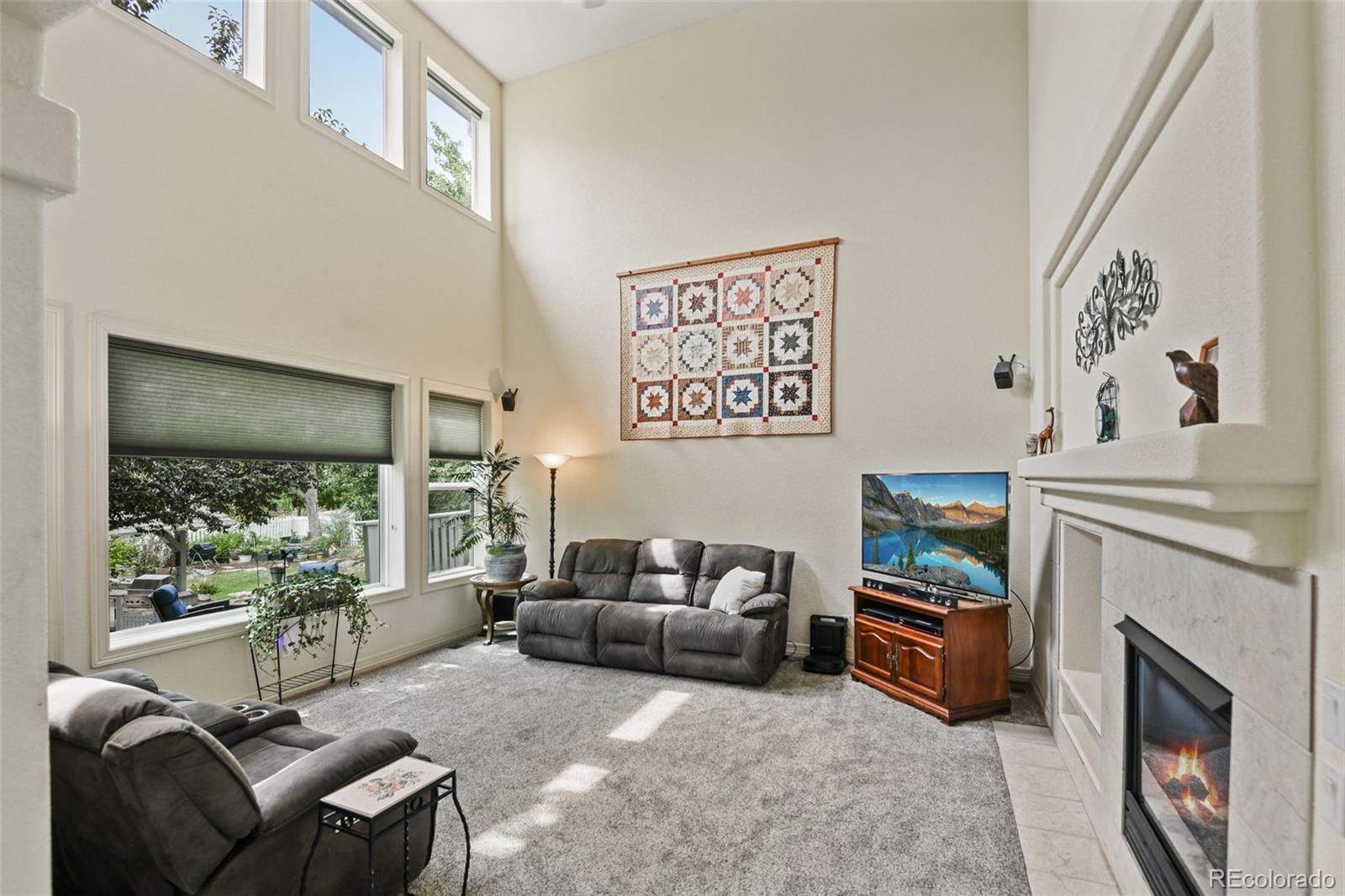 MLS Image #11 for 5975 s jebel court,centennial, Colorado