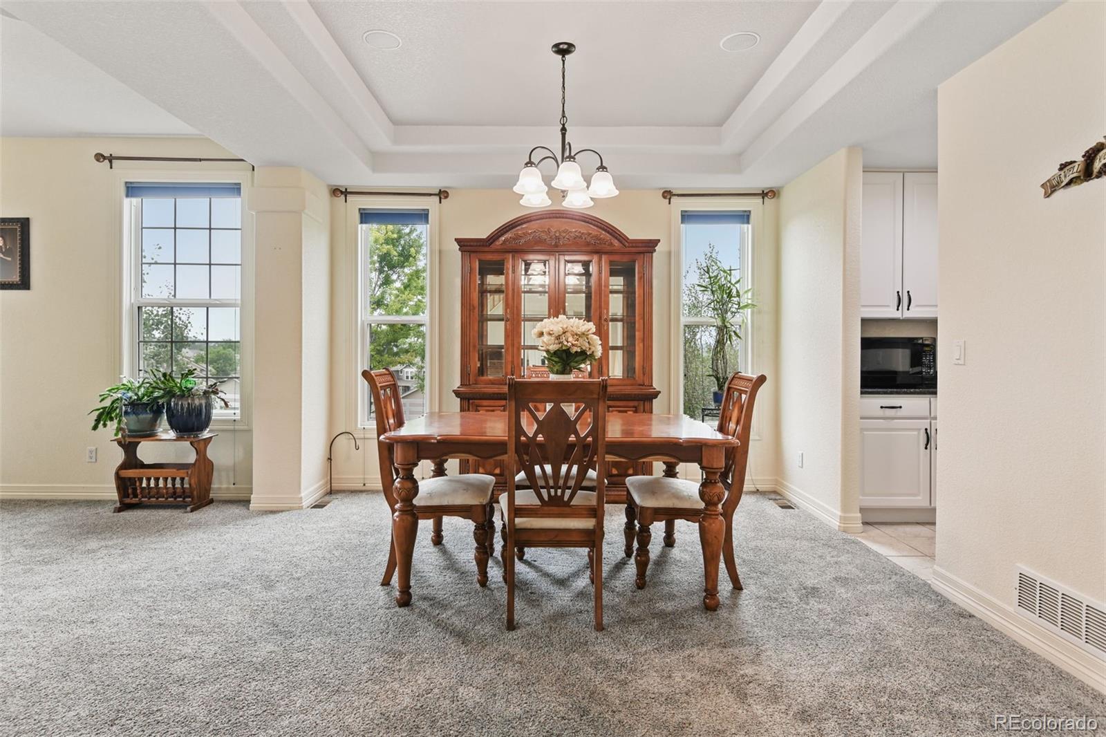 MLS Image #6 for 5975 s jebel court,centennial, Colorado